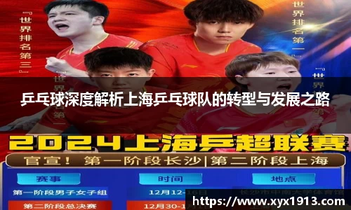 乒乓球深度解析上海乒乓球队的转型与发展之路