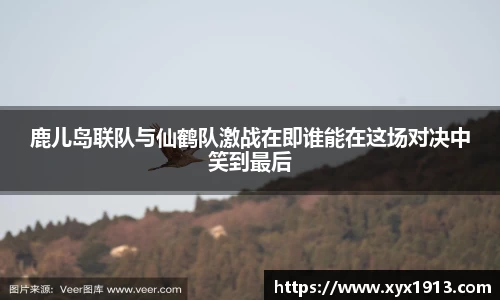 ub8优游平台